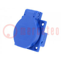 Connector: AC-voeding; contact; 2P+PE; 250VAC; 16A; blauw; PIN: 3
