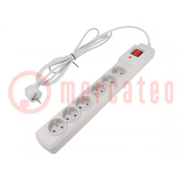 Plug socket strip: protective; Sockets: 6; 250VAC; 10A; grey