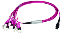 Telegärtner L00833A0028 Glasvezel kabel 5 m MPO/MTP LC OM4 Zwart, Violet