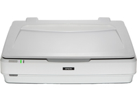 Epson Expression 13000XL Escáner de cama plana 2400 x 4800 DPI A3 Blanco