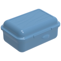 Rotho 1718906161 Brotdose Lunchpaket 0,4 l Blau