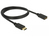 DeLOCK 83809 câble DisplayPort 1 m Noir