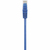 Renkforce RF-5043866 netwerkkabel Blauw 0,15 m Cat5e U/UTP (UTP)