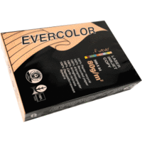 Multifunktionspapier evercolor RC A4 210x297mm 80g/qm lachs VE=500 Blatt
