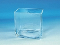 100mm Cubetas vidrio transparente