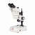 Stereo microscopi con illuminazione serie SMZ-160 Tipo SMZ-160-TLED