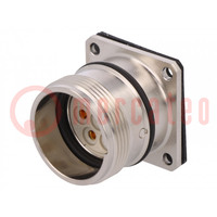 Connector: M23; socket; 623; female; PIN: 6; unshielded; gold-plated