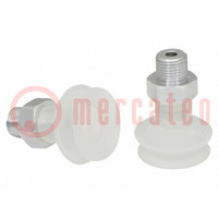 Suction cup; 22mm; G1/8" AG; Shore hardness: 55; 1.4cm3; FSGA