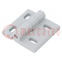 Hinge; Width: 45mm; cast zinc; H: 45mm; adjustable