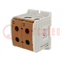 Splice terminal: rail; 300mm2; ways: 1; terminals: 4; brown; STB