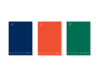 Pigna Monocromo quaderno per scrivere A4 96 fogli Blu, Verde, Arancione