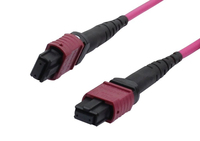 Synergy 21 S216787 InfiniBand/fibre optic cable 2 m MTP OM4 Violet