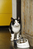 Designed by Lotte Lotte Katze Kombinierter Futterautomat mit Tränke für Haustiere