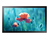 Samsung QB13R-T Interactive flat panel 33 cm (13") LED Wi-Fi 500 cd/m² Full HD Black Touchscreen Tizen 4.0