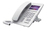 Fanvil H5-W telefon VoIP Biały LCD