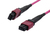 Synergy 21 S216789 InfiniBand/Glasfaserkabel 5 m MTP Violett