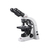Microscopio biológico digital MOTIC BA-210 LED, binocular, cable EU
