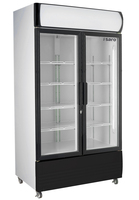 SARO Kühlschrank mit 2 Glastüren und Werbetafel, Modell GTK 580 - Material: