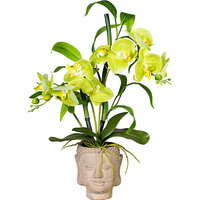 Orchideen-Bambus Arrangement