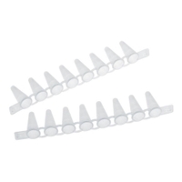 PCR Tube Strips und Cap Strips | Typ: PCR Tube Strips 0,1 ml