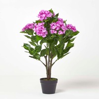 Lilac Hydrangea Plant, with Pot, 850 mm