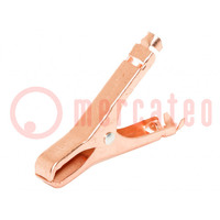 Pinza de cocodrilo; 50A; Cub.de la pinza: max.29mm; 5,26mm2