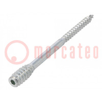 Screw; for wood; 6x100; Head: without head; hex key; HEX 4mm; steel