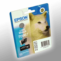 Epson Tinte C13T09674010 grau