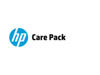 Hewlett Packard Enterprise U4AF0E IT support service