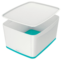Leitz 52161051 caja de almacenaje Rectangular ABS sintéticos Azul, Blanco