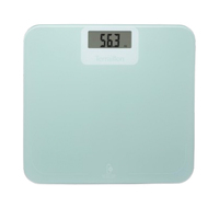 Terraillon Power Free Rectángulo Verde Báscula personal electrónica