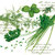 PAPSTAR 20 Servietten, 3-lagig 1/4-Falz 33 cm x 33 cm "Green Herbs" Nouveau