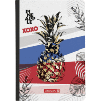 Kladde A5 96 Blatt 90g/qm dotted Karton-Einband flexibel Pineapple