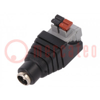Transition: adapter; 5.5/2.1mm; 5.5mm; 2.1mm; spring clamp
