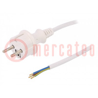 Cable; 3x1mm2; CEE 7/7 (E/F) plug,wires,SCHUKO plug; PVC; 5m