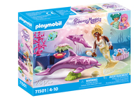 Playmobil 71501 jouet