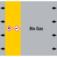 Brady ISO20560PM-220X210-BIO GAS selbstklebendes Etikett Rechteck Permanent Mehrfarbig
