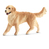 schleich FARM WORLD Golden Retriever, femelle