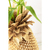 KARE Design Pineapple Vase andere Polyresin Gold