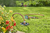 Gardena 8270-20 tuinsprinkler Ronde tuinsprinkler Kunststof Zwart