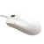 SEAL SHIELD Silver Storm Mouse USB white STWM042