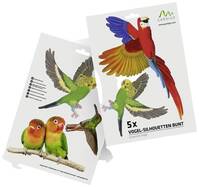 Gardigo Stickers Native Birds Ablakkép Funkcióelv Elriasztás 1 db