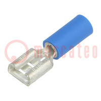 Connector: vlak; 6,3mm; 0,8mm; vrouwelijk; 1÷2,5mm2; klemmen; blauw