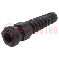 Cable gland; with strain relief; PG13,5; IP66,IP68; polyamide