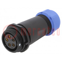 Plug; SP21; female; PIN: 5; IP68; 7÷12mm; 10A; screw terminal; 500V