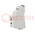 Dimmer; for DIN rail mounting; 230VAC; -20÷35°C; 300W