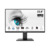 MSI Monitor Business PRO MP2412 23,8" FHD, 1920x1080, IPS, 100Hz, 4000:1 CR, 300cd/m2, 1ms, HDMI, DP, Black