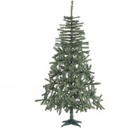 Árbol de Navidad Douglas de 332 Ramas de 150 cm con Pie de Plástico T.Única