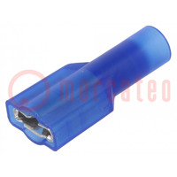 Terminal: flat; 6.4mm; 0.8mm; female; crimped; for cable; insulated