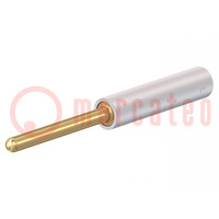 Connector: 2mm banana; adapter; white; gold-plated; 36.5mm